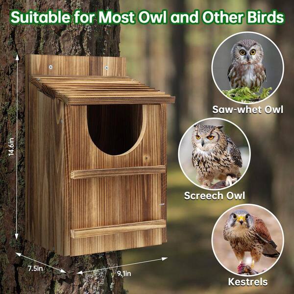 MOEPISY 14.6 in. H Wood Birdhouse Owl House, Carbonized Cedar