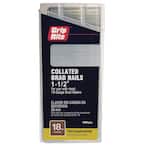 1-1/2 in. 18-Gauge Galvanized Brad Nail (1000-Count)