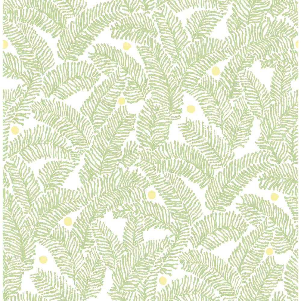 Athina Sage Fern Sage Wallpaper Sample price history on PriceWatchPro