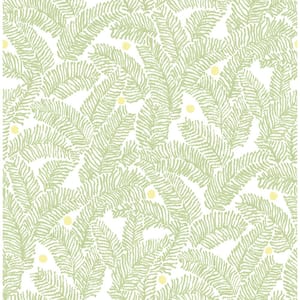 Athina Sage Fern Sage Wallpaper Sample