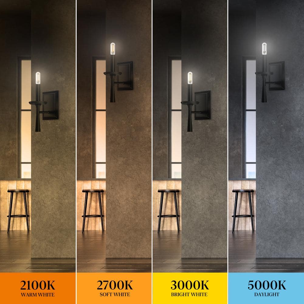 40-Watt Equivalent Clear Glass Edison LED Light Bulbs, Soft White, 6-Pack