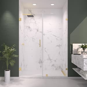 Kobiworks Nirvana 58 in. W x 76 in. H Frameless Pivot Hinged