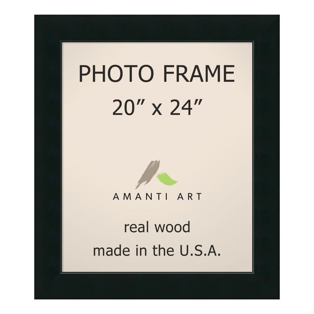 Corvino 20 in. x 24 in. Black Picture Frame