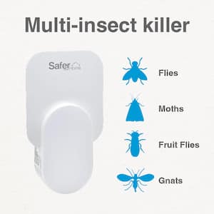 Safer Home Indoor Flying Insect Trap for Fruit Flies, Gnats, Moths, House Flies (2 Plug-In Bases, 4 Refill Glue Cards)
