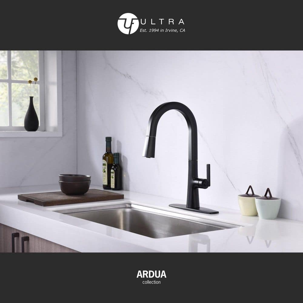 Matte Black Brass Single-Handle Pull-Down Kitchen Faucet
