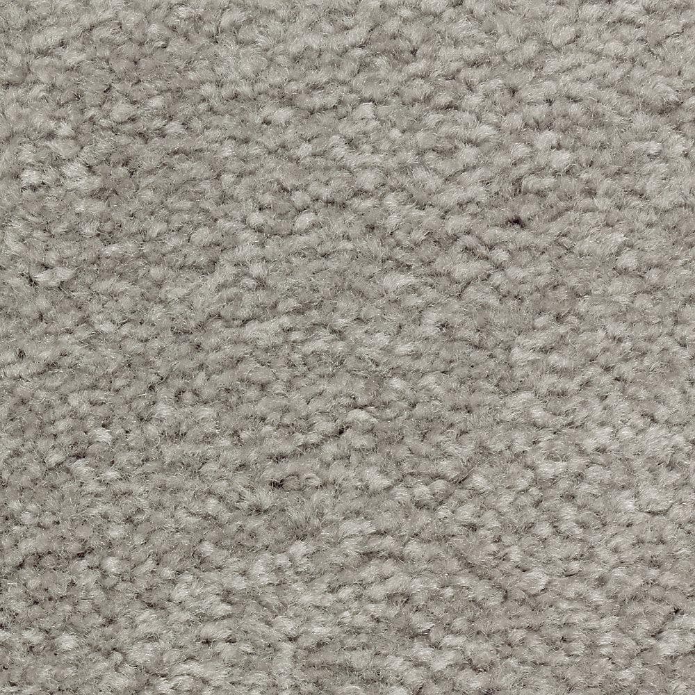 8 in. x 8 in. Texture Carpet Sample - Mason I -Color Tavertine price history on PriceWatchPro