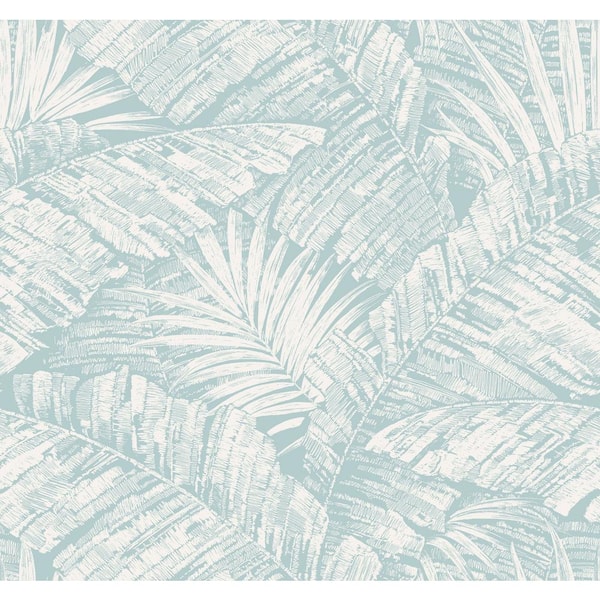 York Wallcoverings Palm Cove Toile White and Blue Wallpaper Roll