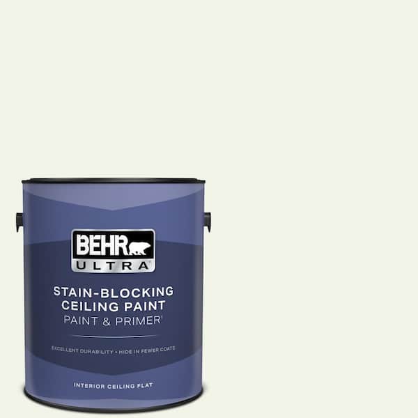 1 gal. #GR-W10 Calcium Ceiling Flat Interior Paint with Primer