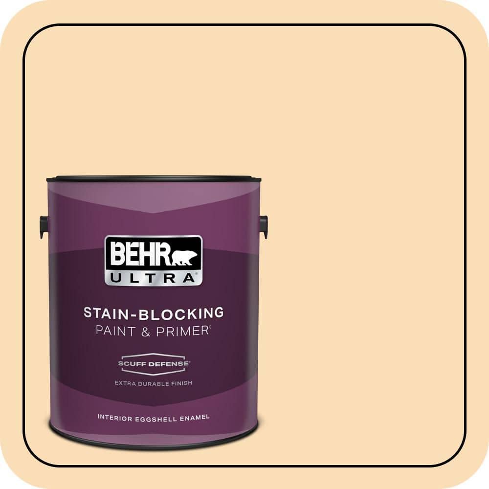 1 gal. #M260-3 Time Out Extra Durable Eggshell Enamel Interior Paint & Primer price history on PriceWatchPro