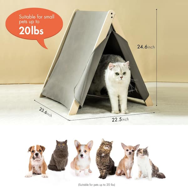 Cat fashion tents for indoors