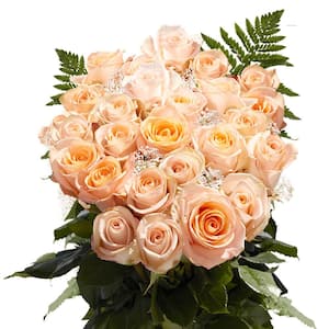 2-Dozen Peach Roses with Baby's Breath and Green- Fresh Flower Delivery