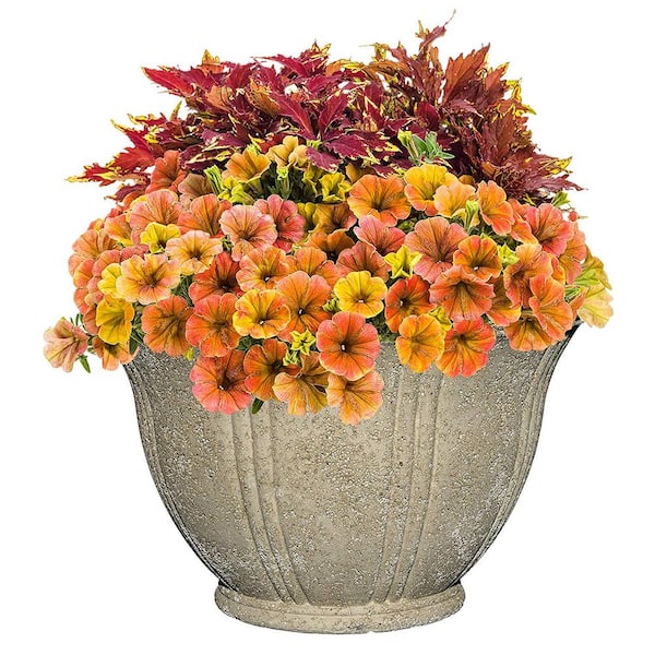 Large Classic Outdoor Garden Pot – The Well Appointed House