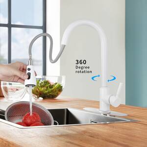 Single-Handle Pull Down Sprayer Kitchen Faucet with Spot Resistant in Stainless Steel White