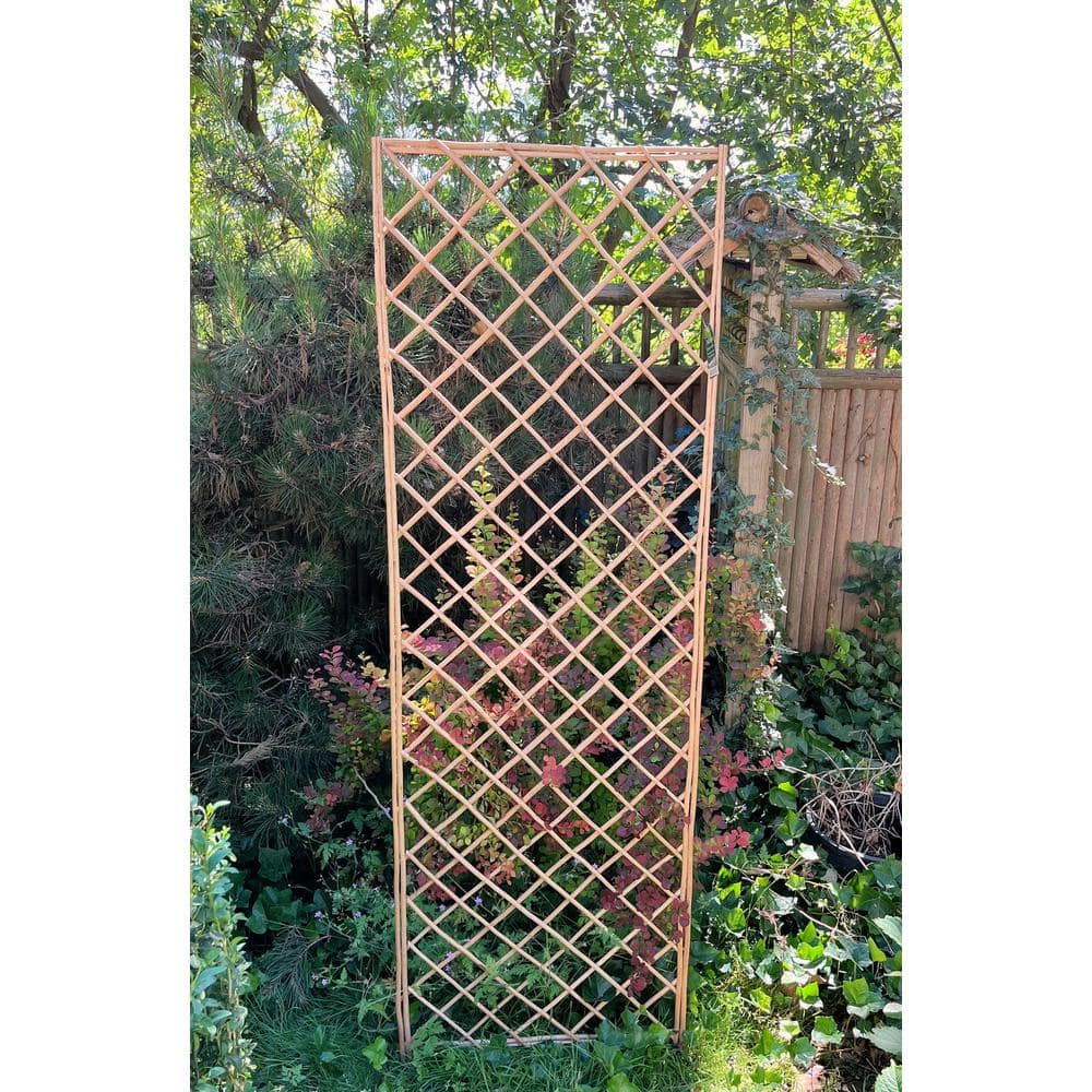 72'' Light Brown Willow Wood Lattice Trellis Panel