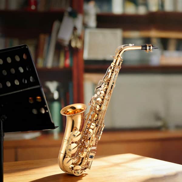 SKYSHALO Alto Saxophone E Flat Brass Saxophone Beginner Kit with