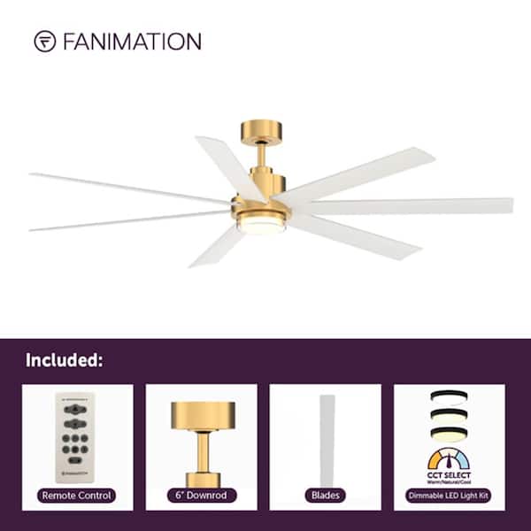 Pendry 72 in. Indoor/Outdoor Brushed Satin Brass Ceiling Fan with Matte White Blades