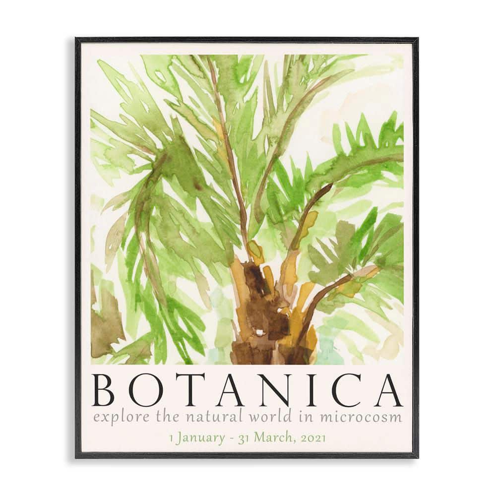 Botanica Poster Palm Tree by June Erica Vess Black Framed Nature Giclee Art Print 20 in. x 16 in. price history on PriceWatchPro