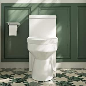 Liberty 1-Piece 1.1/1.6 GPF Dual Flush Elongated High Efficiency Toilet in White, Seat Included