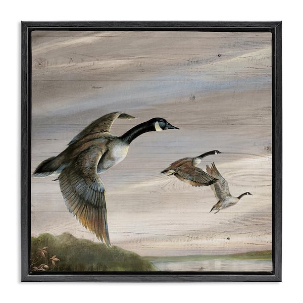 Stupell Industries Flying Geese over Rustic by Ruane Manning Black Floater Frame Animal Graphic Art Print 25 in. x 25 in.