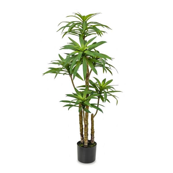 Unbranded Botanical 4.3 ft. Artificial Dracaena in Pot