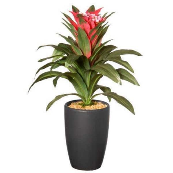 National Tree Company 13 in. Artificial Potted Dracaena Plant
