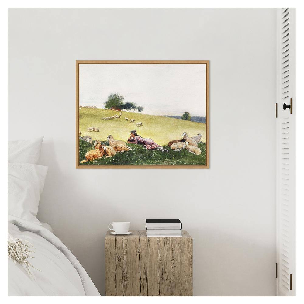 Homers Sheep Countryside II 28"x23" Brown Floater Frame Canvas Print