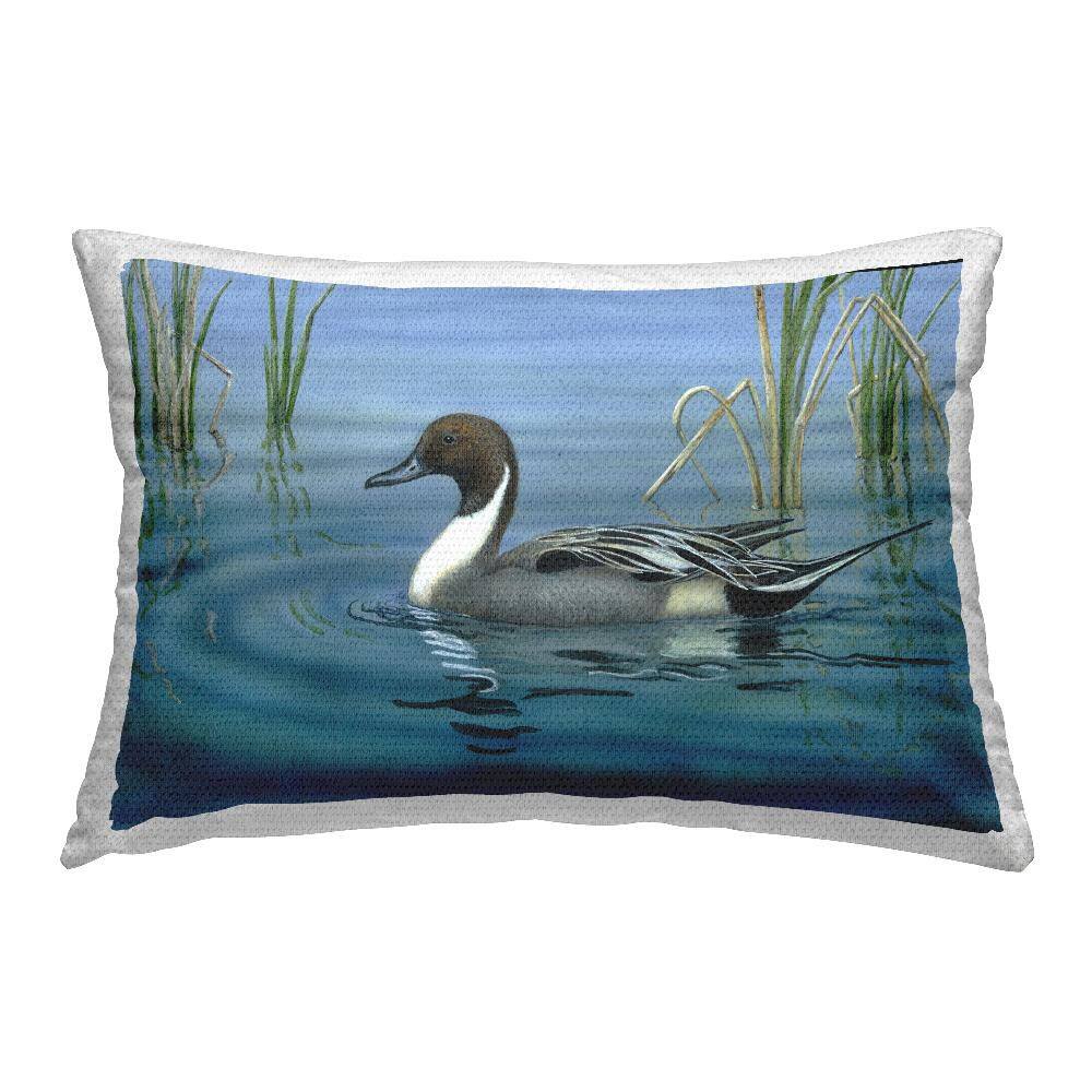 Pintail Loon in Pond Blue Rectangular Outdoor Throw Pillow price history on PriceWatchPro