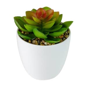 4 in. Mini White Potted Artificial Succulent Plant