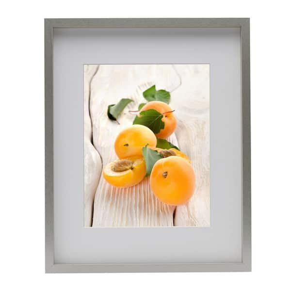 Silver Gallery Picture Frame -16 x 20 Matted to 11 x 14