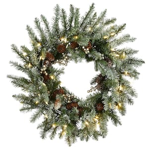 24 in. Snowy Morgan Spruce LED Artificial Christmas Wreath with Twinkly Lights