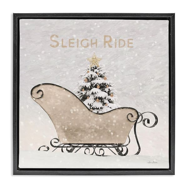 Stupell Industries Sleigh Ride Winter Scene by Lori Deiter 1-Piece Floater Frame Graphic Print Typography Poster Art Print 25 in. x 25 in.