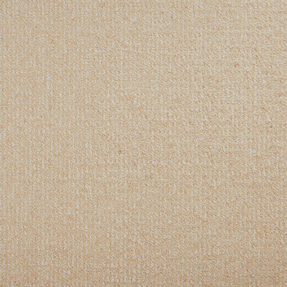 6 in. x 6 in. Loop Carpet Sample - Havasu - Color Meadow price history on PriceWatchPro