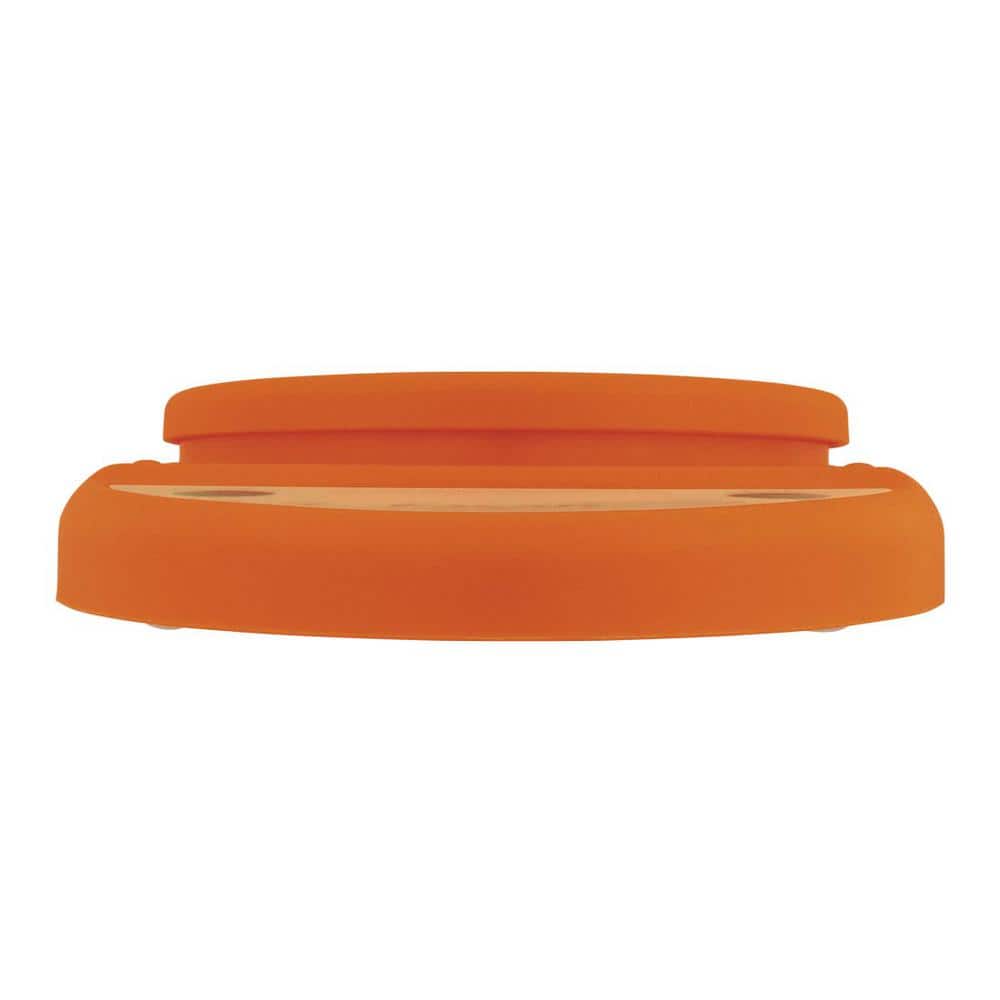 Escali Primo Orange Digital Kitchen Counter Scale