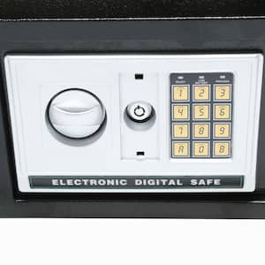 Personal Electronic Security Safe