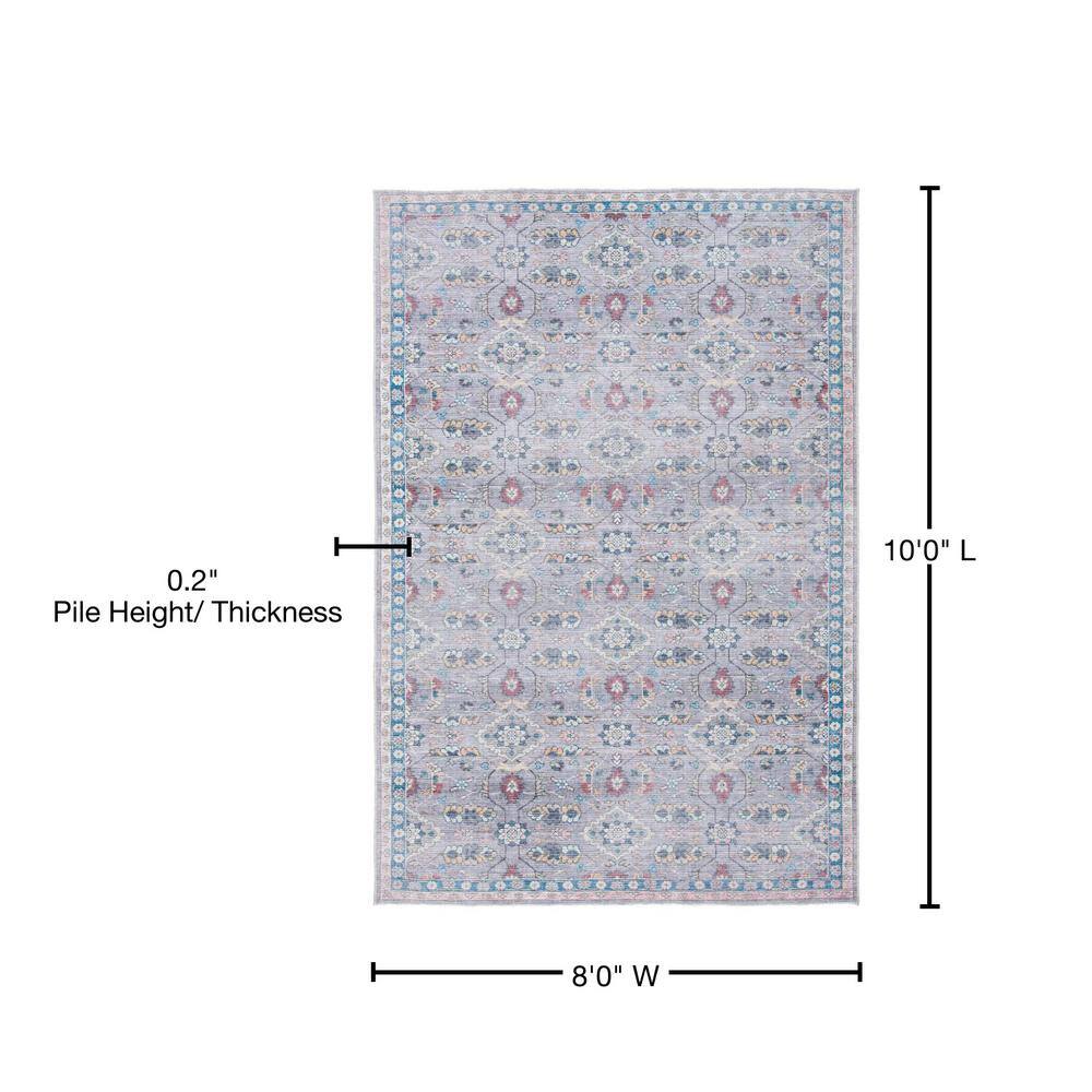Serapi Gray and Beige 8' x 10' Washable Synthetic Area Rug
