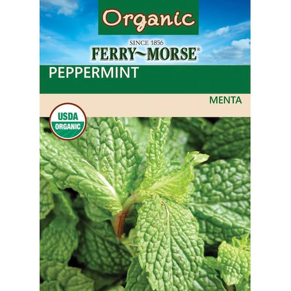 Organic Peppermint Herb Seed