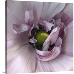 "Ranunculus Pink" by Magda Indigo Canvas Wall Art