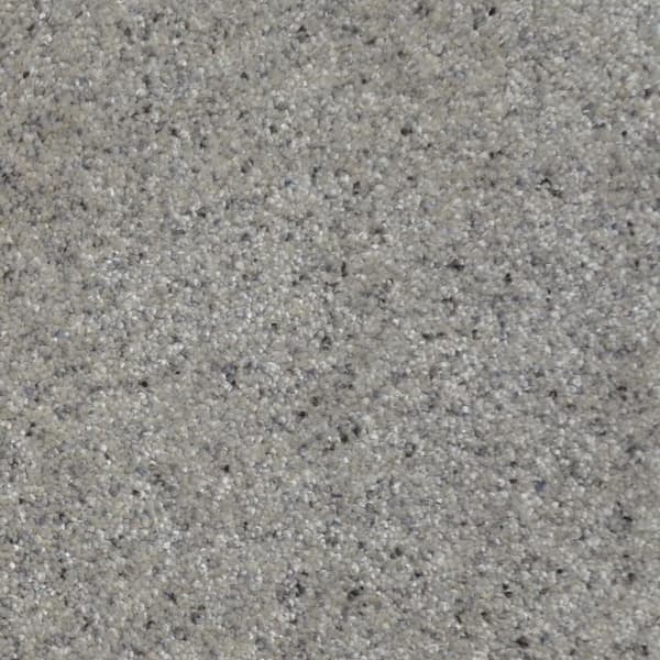 Home Decorators Collection Port Abigail II  - Harbor - Gray 60 oz. SD Polyester Texture Installed Carpet