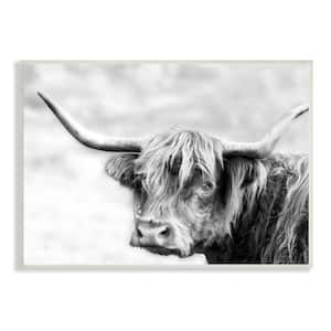 Bold Country Cattle Photography Wild Animal by Danita Delimont Unframed Print Animal Wall Art 10 in. x 15 in.