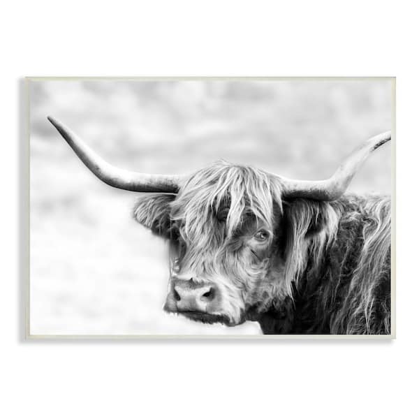 Stupell Industries Bold Country Cattle Photography Wild Animal by Danita Delimont Unframed Print Animal Wall Art 10 in. x 15 in.