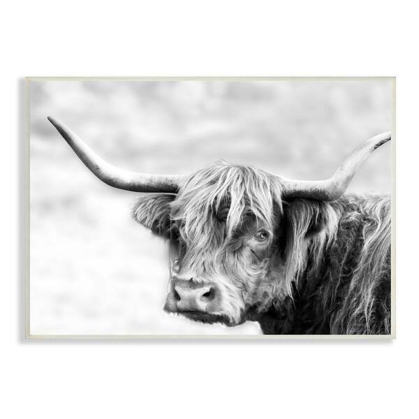 The Stupell Home Decor Collection Bold Country Cattle Photography Wild Animal By Danita Delimont Unframed Print Wall Art 10 In X 15 Ai 759 Wd 10x15 - Wild Animal Home Decor