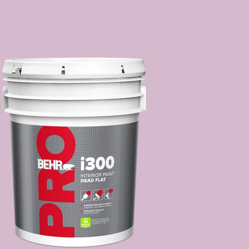 5 gal. #680D-4 Velvet Slipper Dead Flat Interior Paint price history on PriceWatchPro