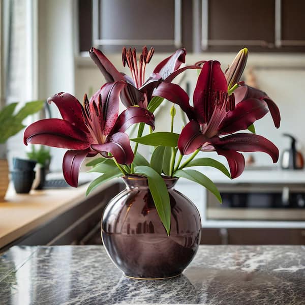 lily Expert Gardener Lily Landini Set of 4 Dormant Perennial Bulbs