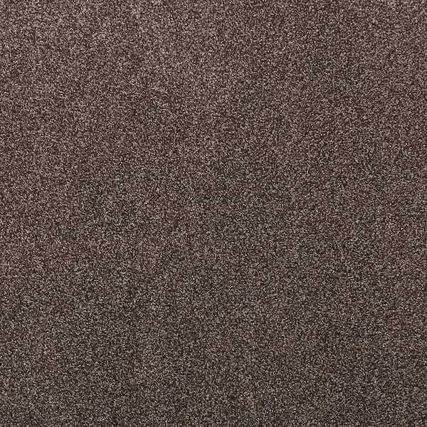 Plush Dreams III - Velvet-Brown 12 ft. 68 oz. Triexta Texture Installed Carpet