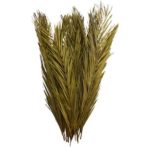 43 in. Palm Leaf Natural Foliage with Feather Inspired Stems (1 Bundle)