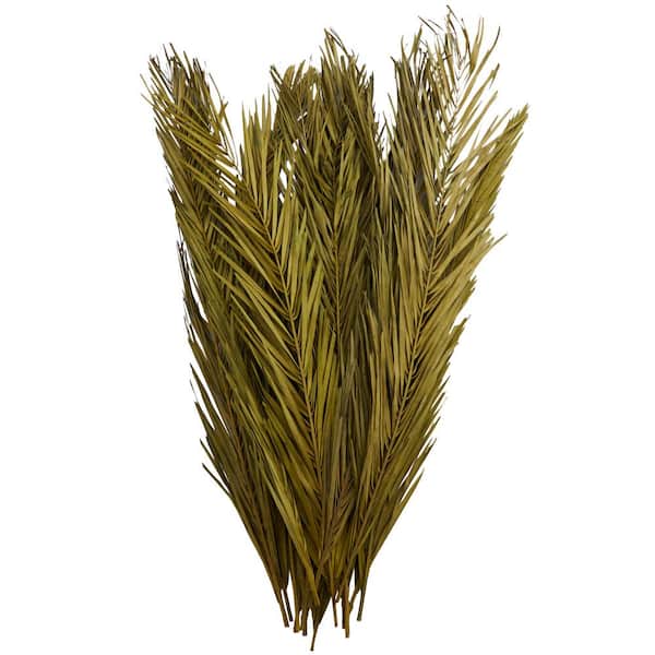 Litton Lane 43 in. Palm Leaf Natural Foliage with Feather Inspired Stems (1 Bundle)