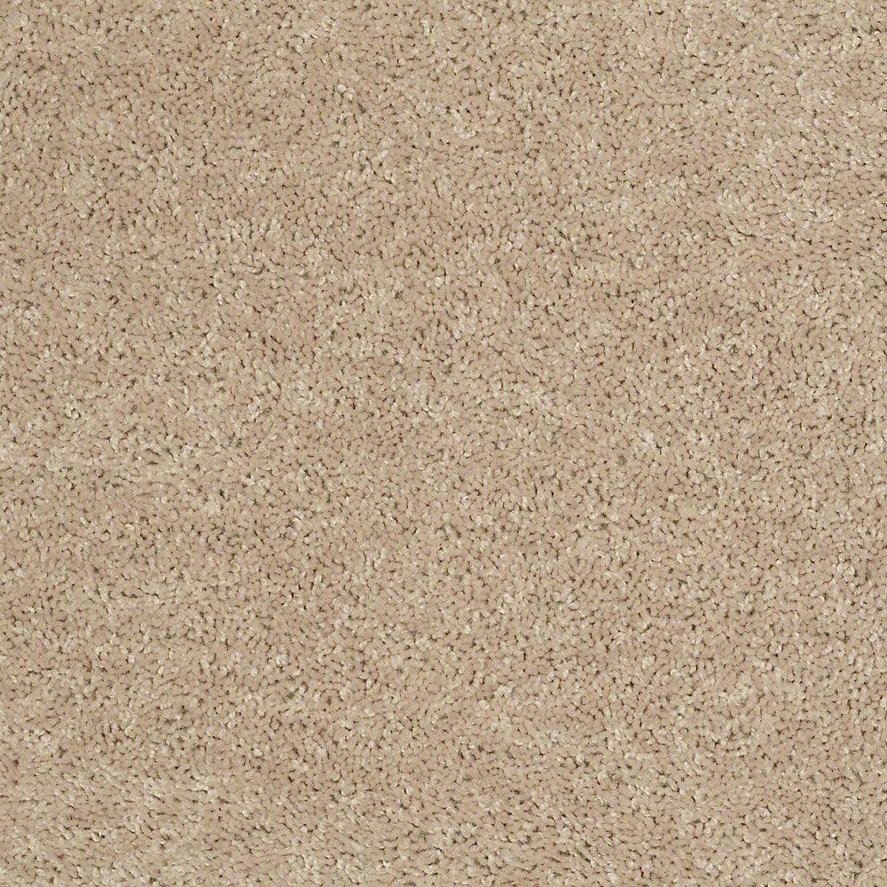 8 in. x 8 in. Texture Carpet Sample - Palmdale I - Color Coastal Beige price history on PriceWatchPro