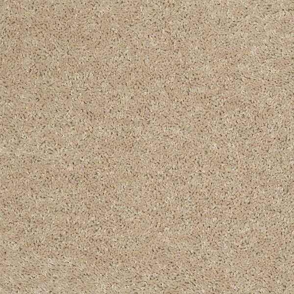 TrafficMaster 8 in. x 8 in. Texture Carpet Sample - Palmdale I - Color Coastal Beige