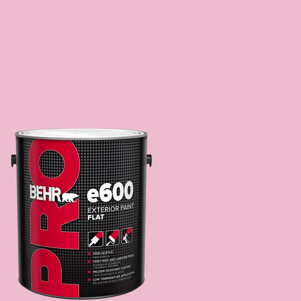 1 gal. #P130-2A Dainty Pink Flat Paint price history on PriceWatchPro