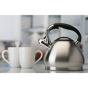 10-Cup Stainless Steel Tea Kettle